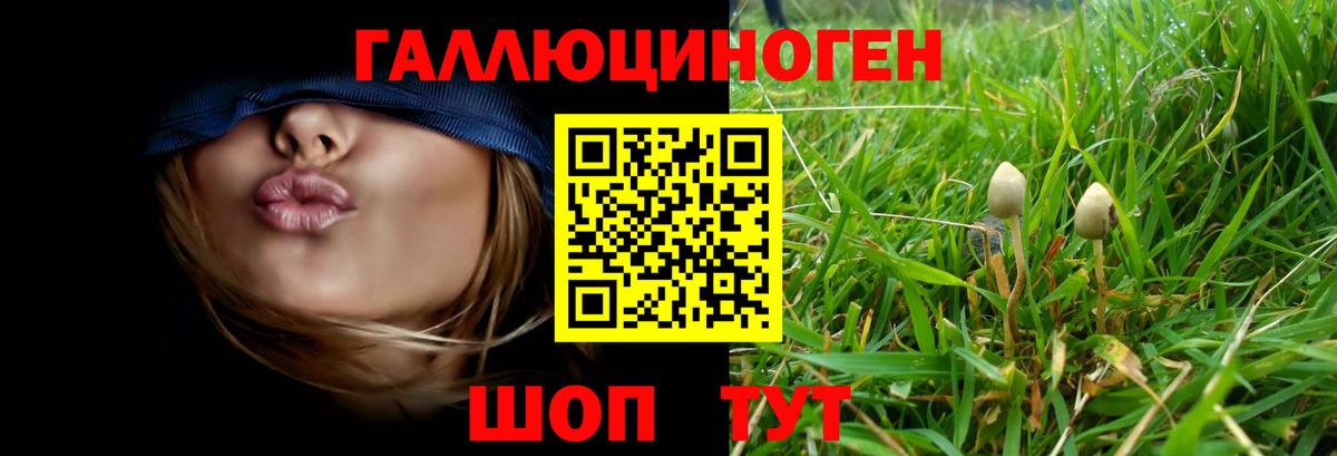 Оренбург  Галлюциногенные грибы мухоморы  купить  цена  Вход с VPN 