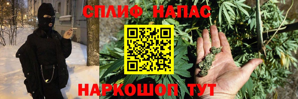 Каннабис сатива  Конопля сатива  Вход с VPN  Конопля MAZAR  Оренбург 